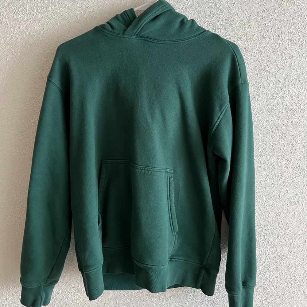 Aritzia perfect hoodie